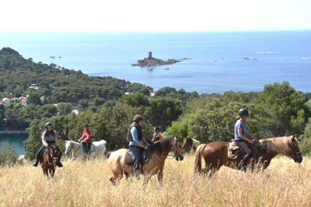 Dans Un Cadre D'Exception, Vue Mer Panoramique A Agay Cote D'Azur, Village Vacances Cap Esterel, T2 Avec Jardin, Golf, Climatisation, Wifi, 5 Piscines Saint-Raphaël Esterno foto