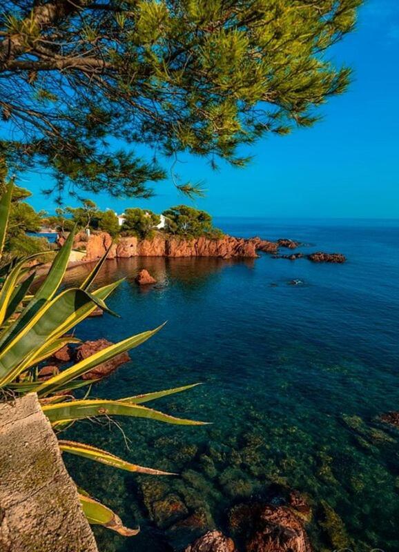 Dans Un Cadre D'Exception, Vue Mer Panoramique A Agay Cote D'Azur, Village Vacances Cap Esterel, T2 Avec Jardin, Golf, Climatisation, Wifi, 5 Piscines Saint-Raphaël Esterno foto